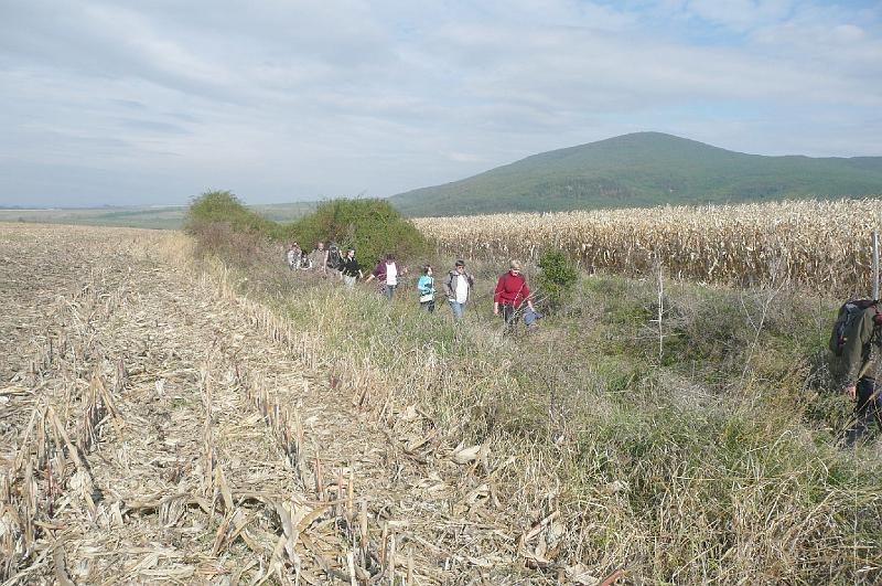 20121013 082.jpg